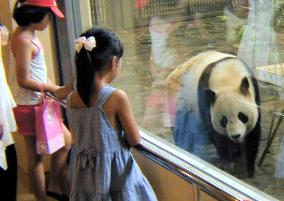 Children meet pandas in Kobe